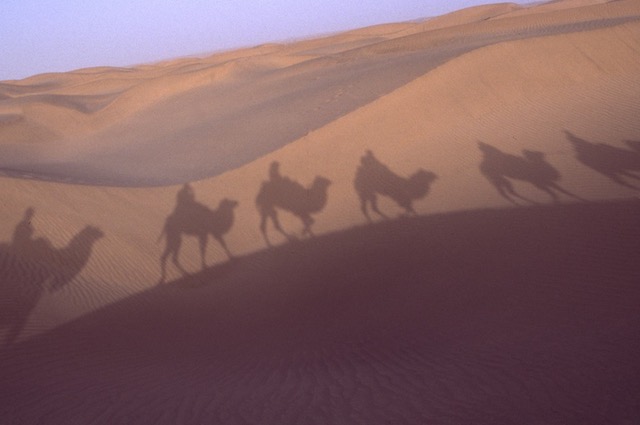シルクロード取材を開始（〜2009）。タクラマカン砂漠をラクダで移動